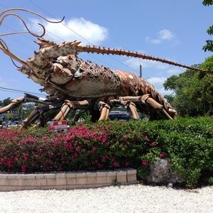 Meet your Posher, Milana